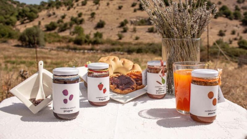 Ozieri: jam tasting in Tula - Key Points