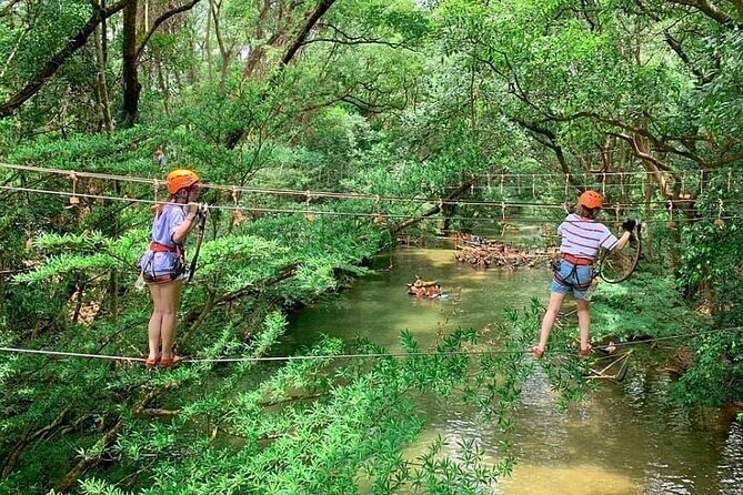 Ozo Park Ticket in Quang Binh - The Sum Up: Is Ozo Park Worth Visiting?