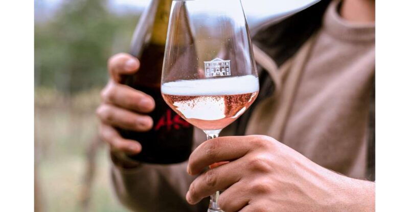 ozzano-emilia-guided-cellar-walking-tour-with-wine-tasting