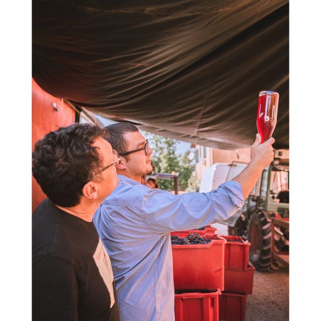 ozzano-emilia-guided-cellar-walking-tour-with-wine-tasting