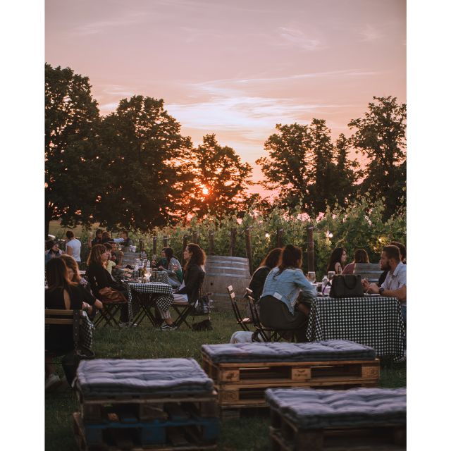 ozzano-emilia-guided-cellar-walking-tour-with-wine-tasting