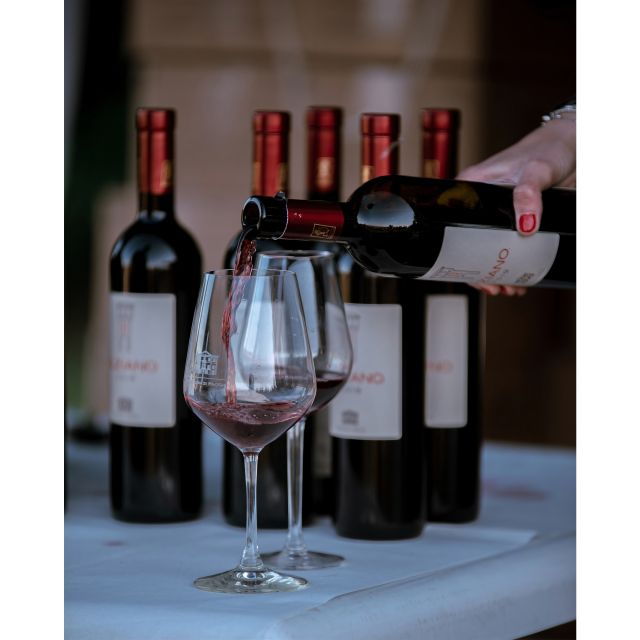 ozzano-emilia-guided-cellar-walking-tour-with-wine-tasting