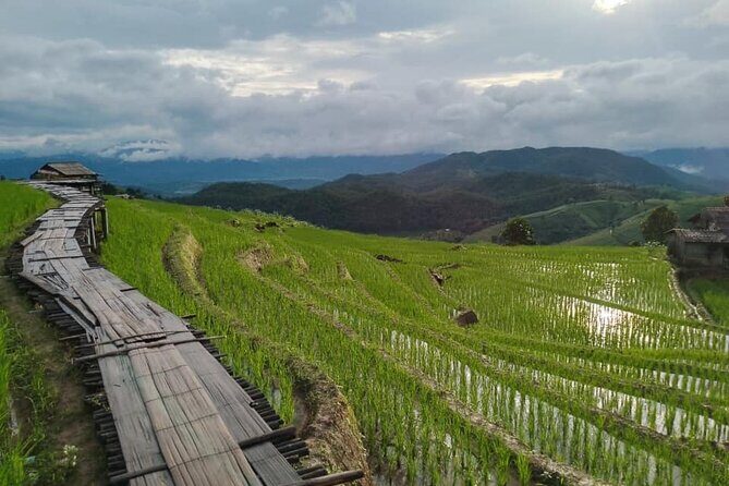 Pa Pong Piang Rice Terrace and Doi Inthanon National Park - Practical Details and Tips