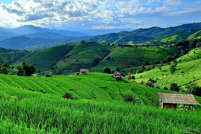 Pa Pong Piang Rice Terrace and Doi Inthanon National Park - Who Will Love This Tour?
