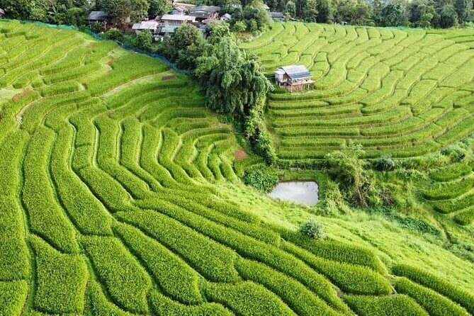 Pa Pong Piang Rice Terrace and Doi Inthanon National Park - FAQ