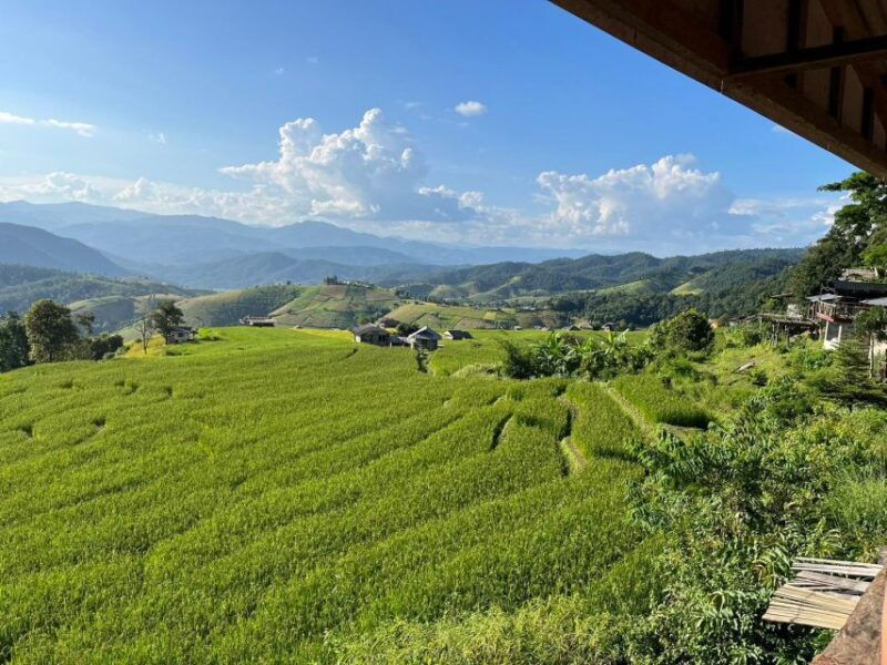 pa-pong-piang-rice-terraces-doi-inthanon-national-park