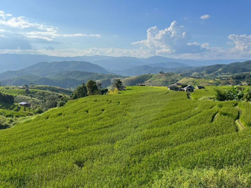 pa-pong-piang-rice-terraces-doi-inthanon-national-park