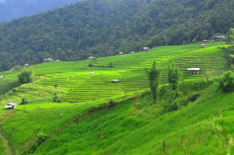 Pa Pong Piang - The Charm of Pa Pong Piang: A Hidden Thai Treasure