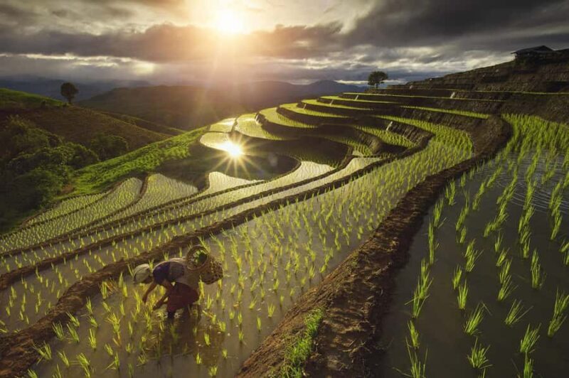 Pa Pong Piang - The Value of the Experience