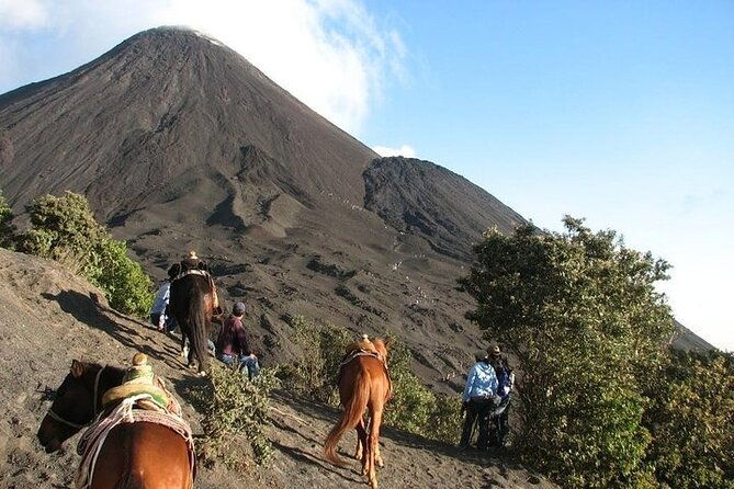 pacaya-volcano-adventure-from-quetzal-port