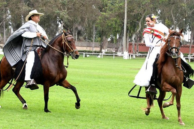 pachacamac-pyramids-lunch-dance-horse-show-must-see-in-lima