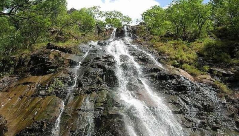 Pachmarhi Same-Day Tour: Nature, Caves & Waterfalls - Who Should Consider This Tour?