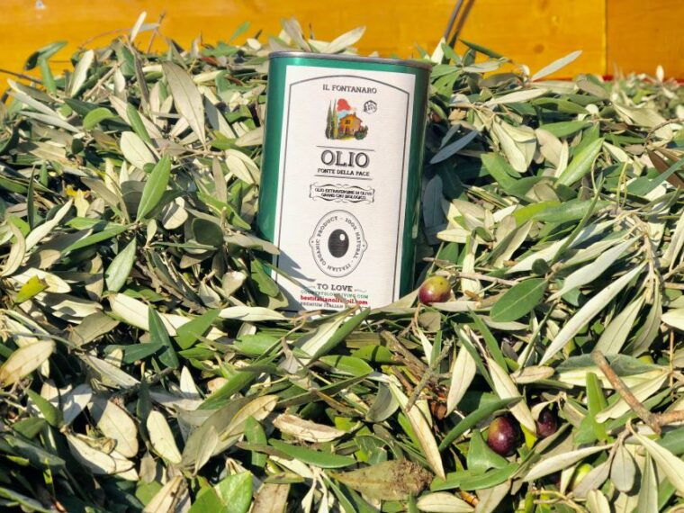 paciano-organic-cooking-class-at-a-farm-with-lunch-wine