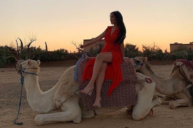 Pack Camel ride 1 Hour and Quad biking 2 Hours in Marrakech - Exploring Marrakech with a Camel Ride and Quad Biking Tour