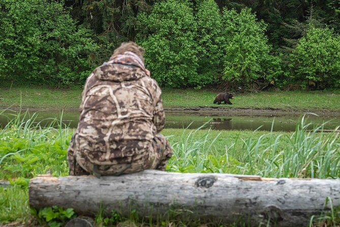 pack-creek-bear-viewing