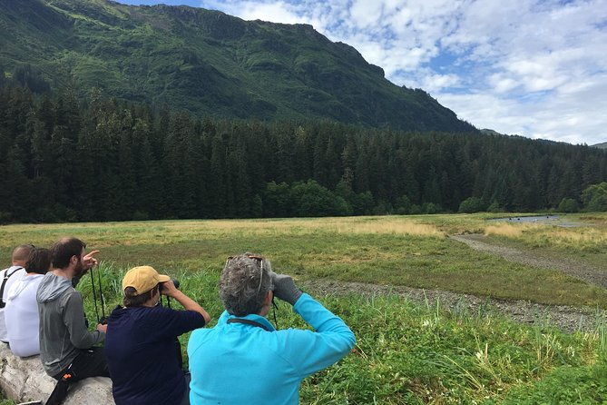 pack-creek-brown-bear-viewing-juneau-2