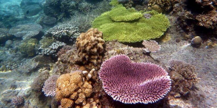 package-3-days-2-nights