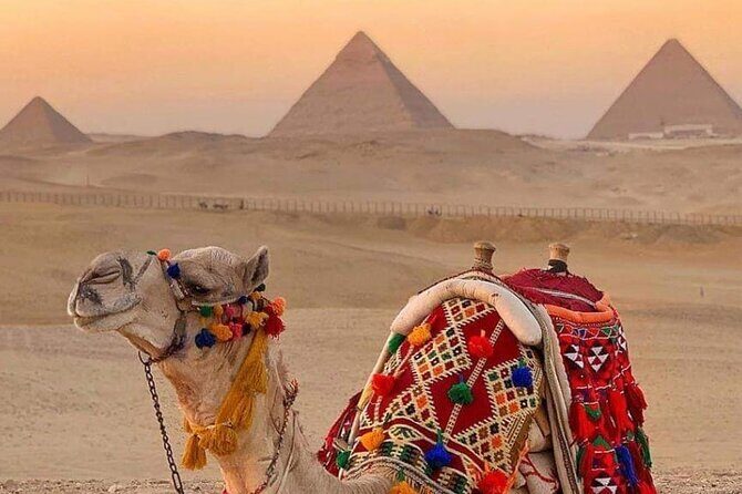 Package 4 Day: Cairo Short Break Cairo Pyramids - Steigenberger -Hotel - Final Thoughts
