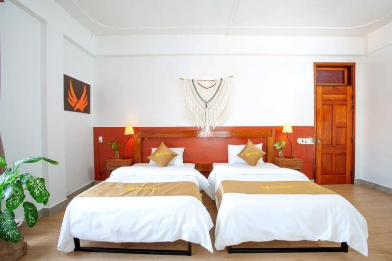 package-phong-nha-2-day-1-night-group-tour-from-dong-hoi