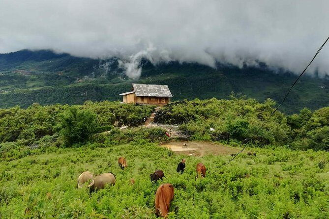 Package Tour Halong and Sapa - Final Thoughts