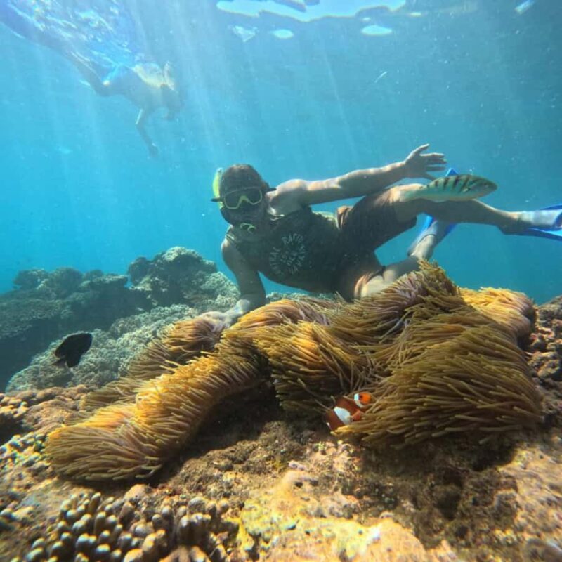 Padang Bai: Blue Lagoon Snorkeling Tour, Lunch & Transfer - Key Points