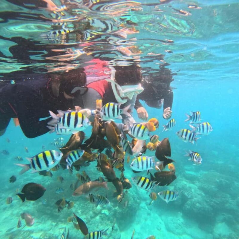 Padang Bai: Blue Lagoon Snorkeling Tour, Lunch & Transfer - The Sum Up: Is It Worth Trying?