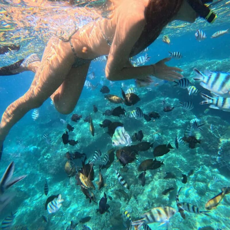 Padang Bai: Blue Lagoon Snorkeling Tour, Lunch & Transfer - Frequently Asked Questions