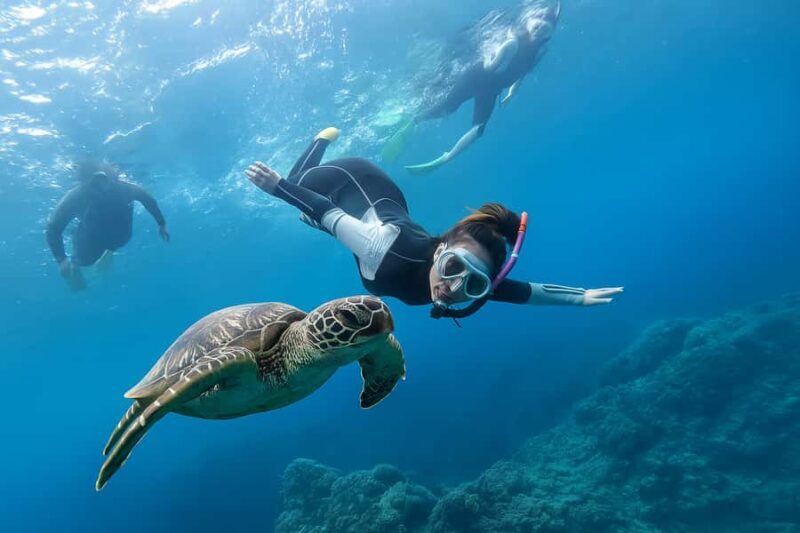 Padang Bai Snorkeling Trip with Lunch and Local Guide - The Blue Lagoon: First Stop for Marine Marvels