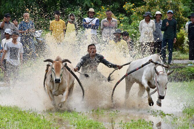 Padang West Sumatra 9-Day Private Tour + Mentawai - Who Should Consider This Tour?