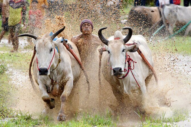 Padang West Sumatra 9-Day Private Tour + Mentawai - FAQs