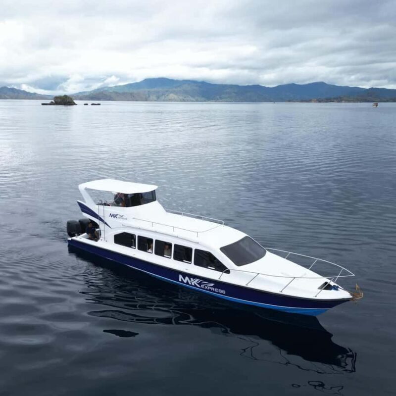 Padar Island, Pink Beach, Komodo Full-Day Shared Trip - The Complete Experience: Breaking Down the Tour