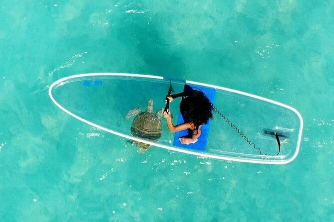 paddle-board-experience-in-turks-caicos-islands