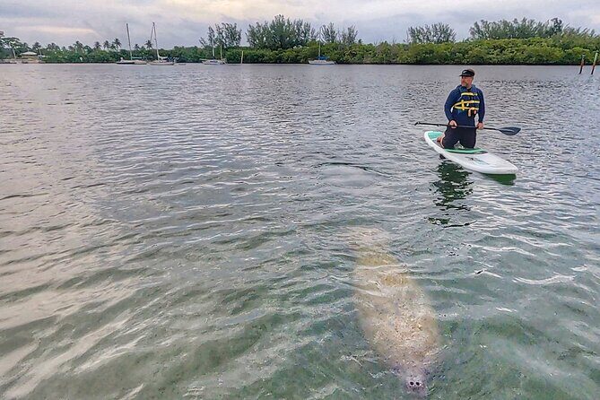 Paddle Boarding Eco Adventure Tour Jupiter Florida - Singer Island - Authentic reviews and what they reveal
