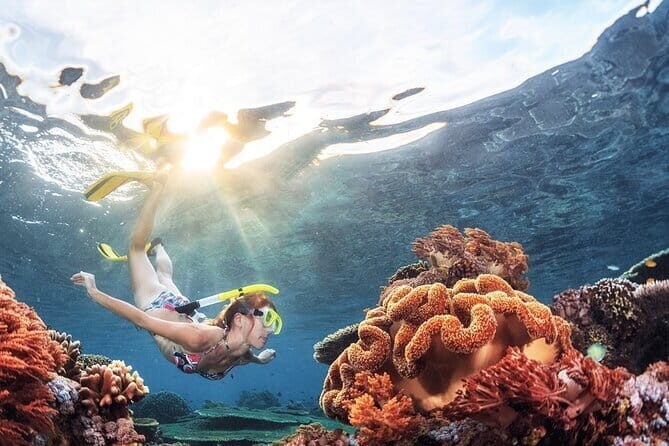 Paddle Boarding in Trincomalee - Additional Details: Logistics and Practical Tips