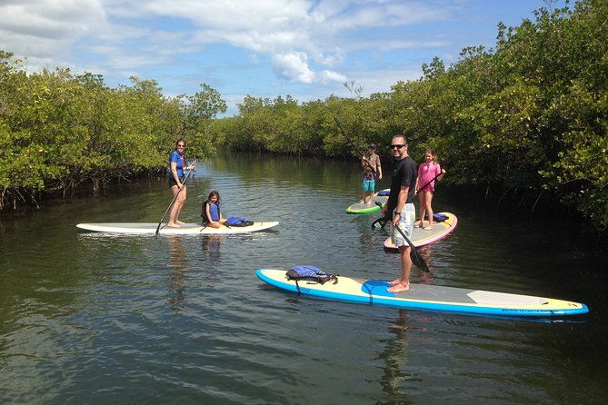 paddle-boarding-rentals