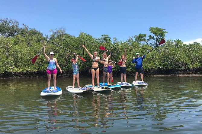 paddle-boarding-rentals