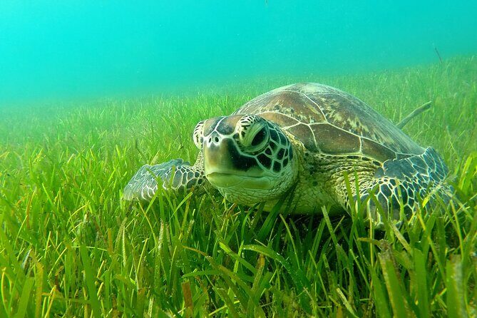 Paddle excursions in Nosy Sakatia - FAQs