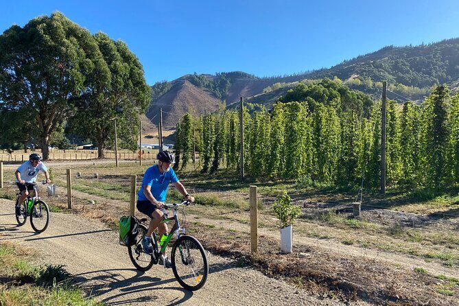 Paddle in Abel Tasman and Pedal the Great Taste Trail - The Value Proposition: Is It Worth It?