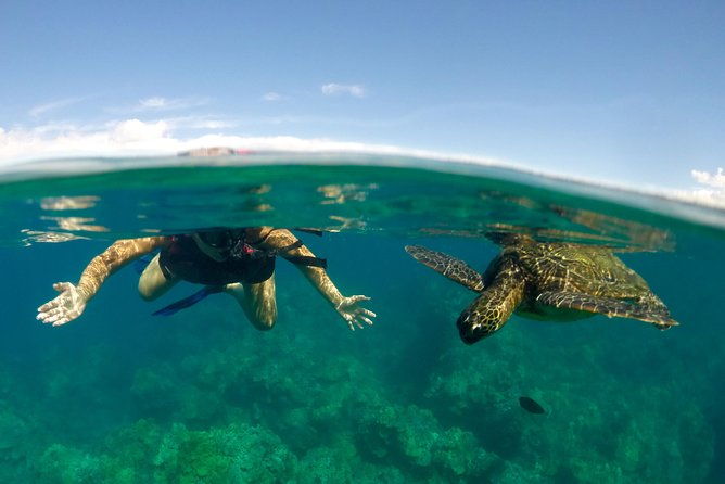 paddle-snorkel-and-learn-to-surf-all-in-a-day-on-maui
