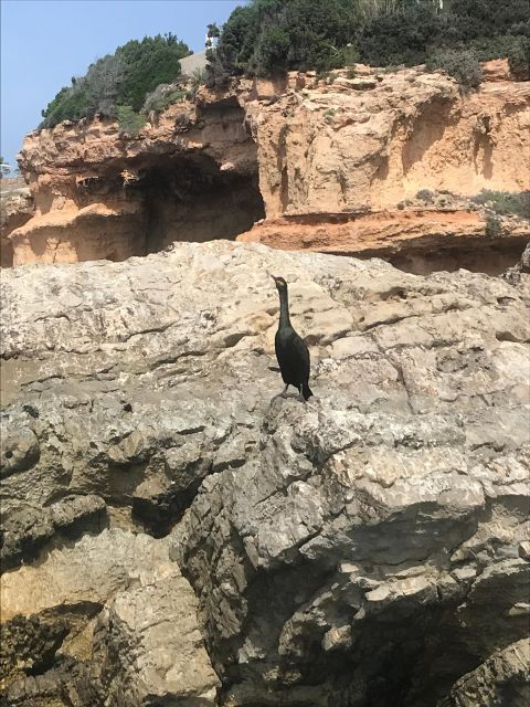 paddle-surf-course-cave-visit-coves-snorkeling