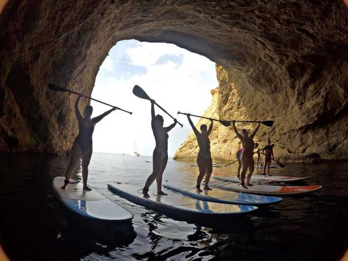 paddle-surf-course