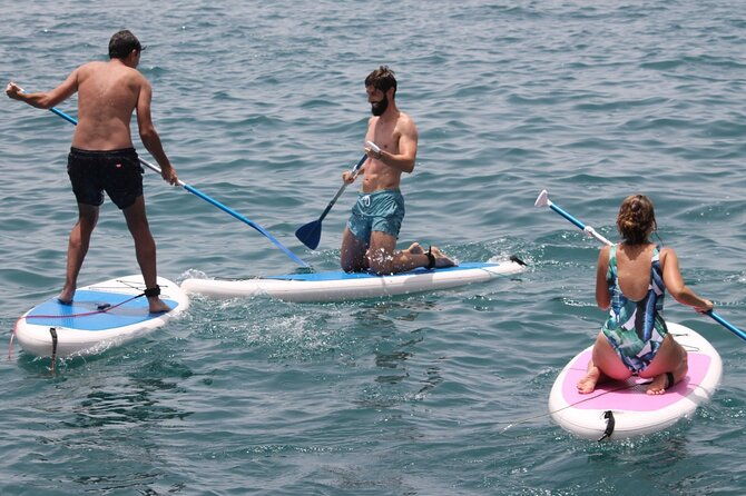 paddle-surf