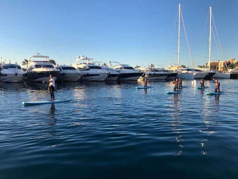 Paddle surf excursion - Paddle Surf Excursion in Mallorca: A Fun-Filled Coastal Adventure