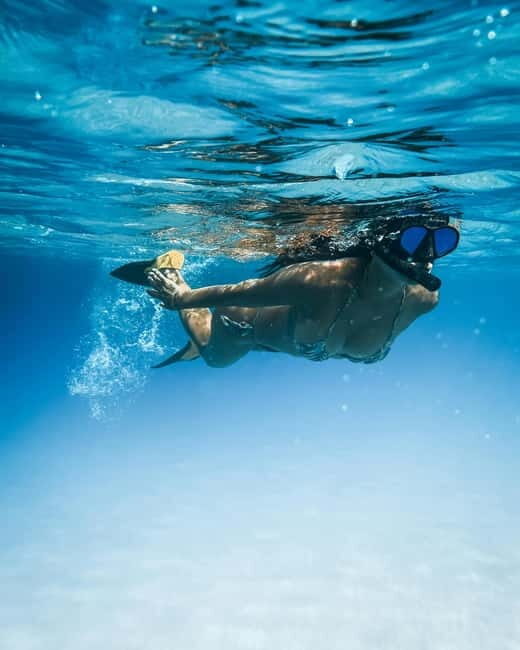 Paddle Surf & Snorkeling Experience in Playa de las Américas - Key Points