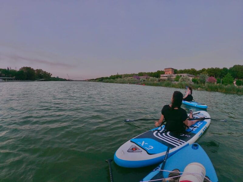 paddle-surf-tour-historic-seville-triana-and-la-cartuja