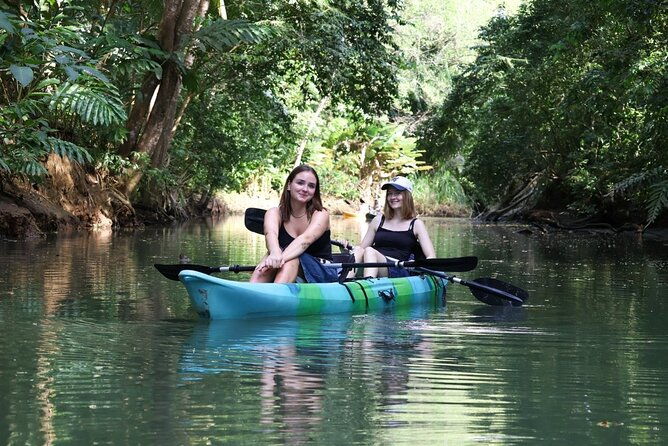 paddle-through-paradise-mangrove-kayak-adventure