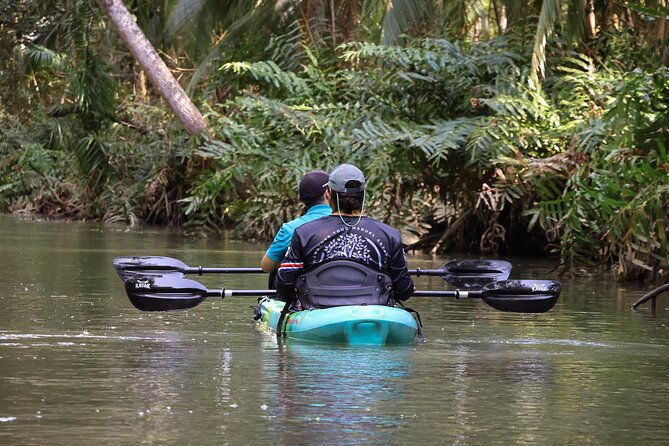 paddle-through-paradise-mangrove-kayak-adventure