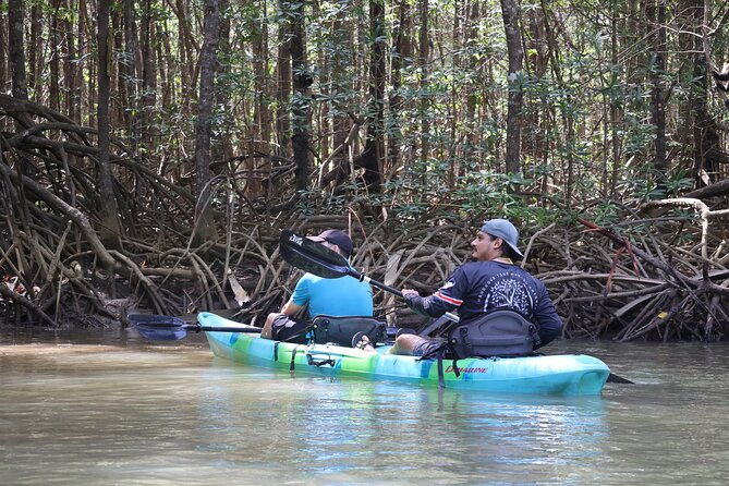 paddle-through-paradise-mangrove-kayak-adventure