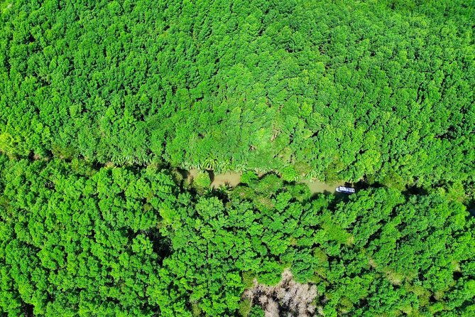 paddle-through-paradise-mangrove-kayak-adventure