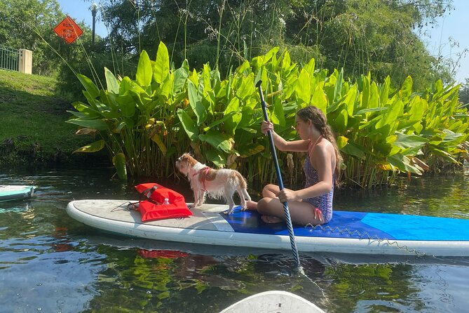 paddle-with-pups-in-paradise-paddleboard-or-kayak-2